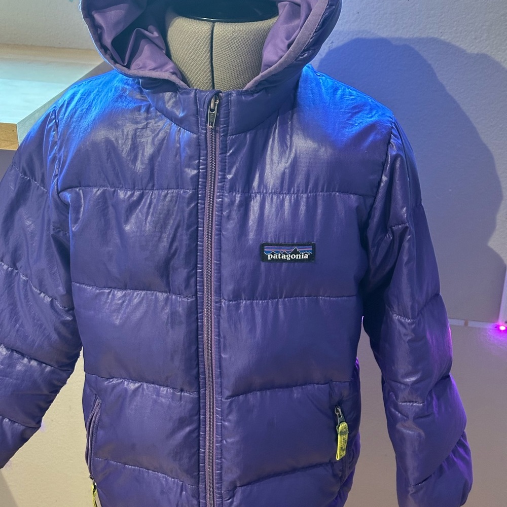 Patagonia Hi-Loft Down Seater Hoody